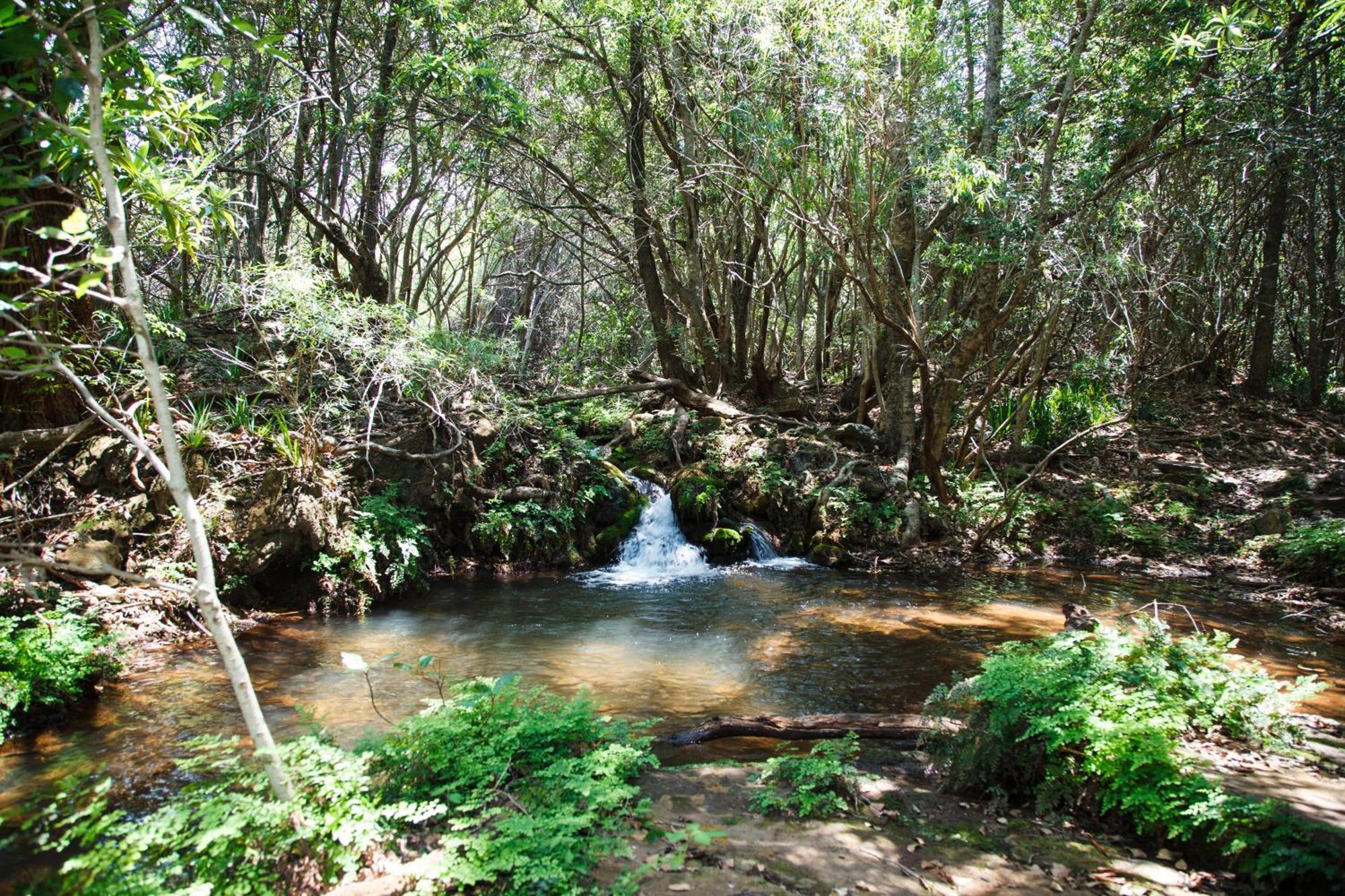 Blyde Canyon, A Forever Resort Matibidi